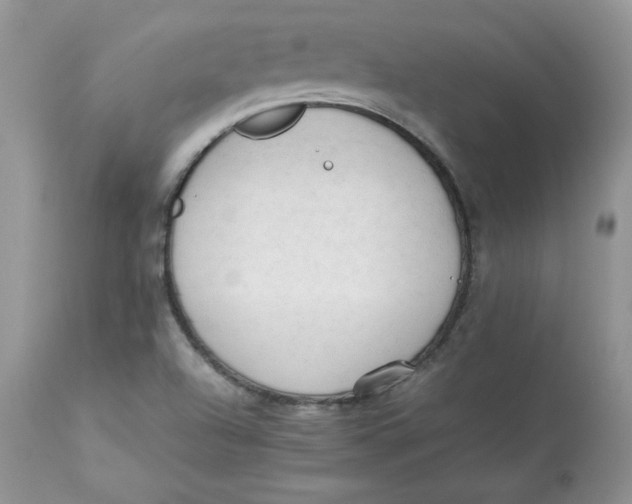 X0000112851504200909111433