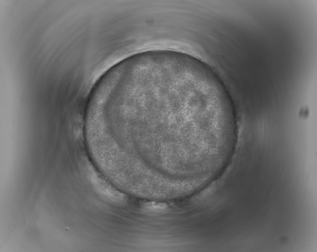 X0000112851505200909111433