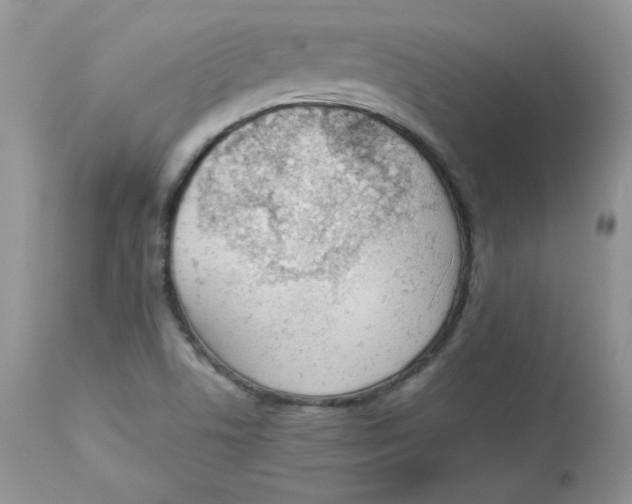 X0000112851506200909111433