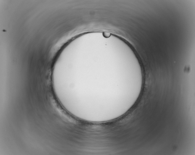 X0000112851507200909111433