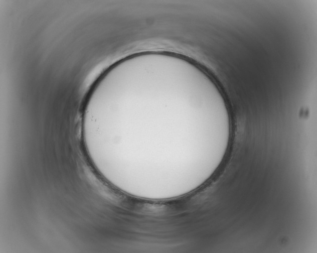 X0000112851509200909111433