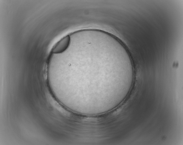 X0000112851510200909111433