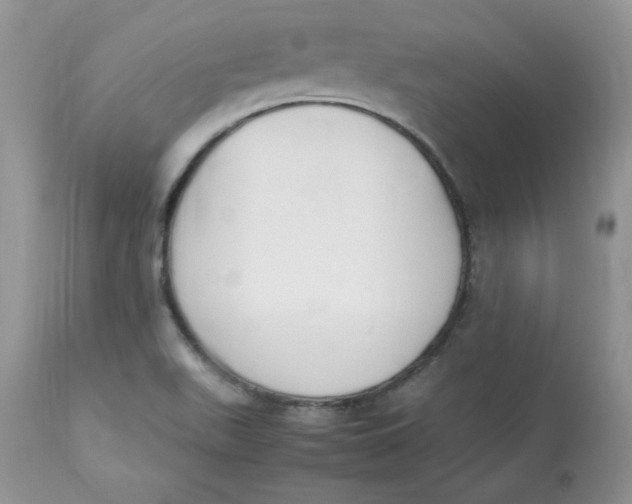 X0000112851511200909111433