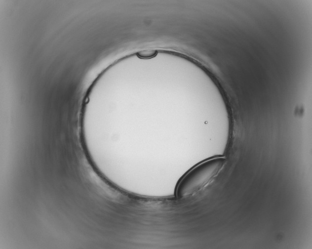 X0000112851512200909111433