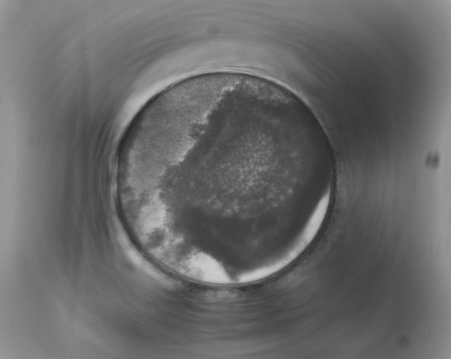 X0000112851515200909111433