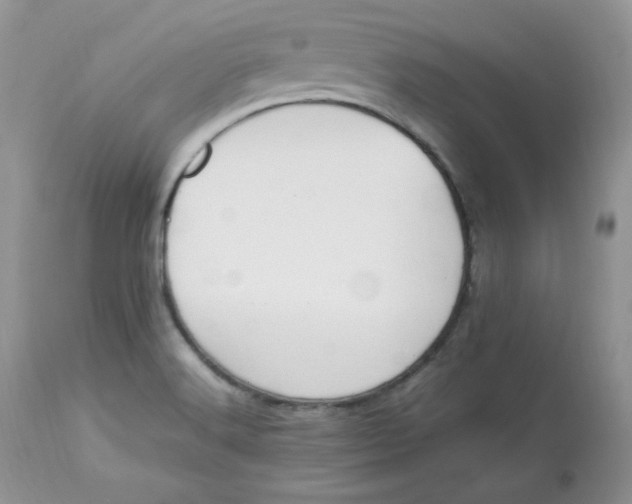 X0000112851516200909111433