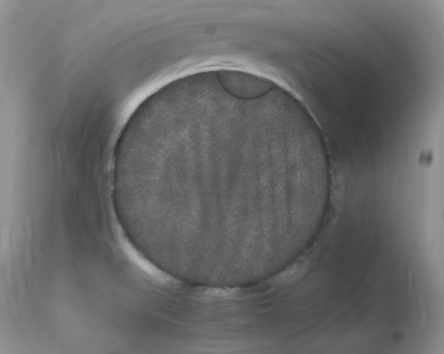 X0000112851519200909111433