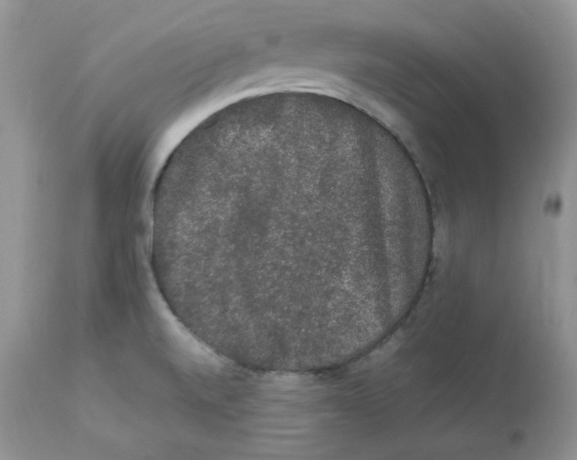 X0000112851520200909111433