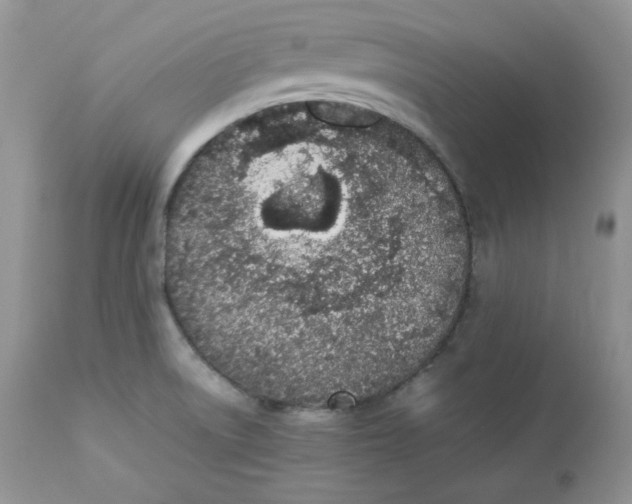 X0000112851522200909111433