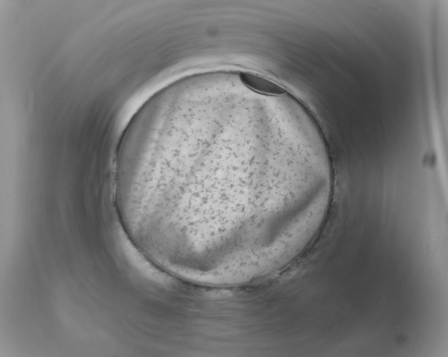 X0000112851524200909111433