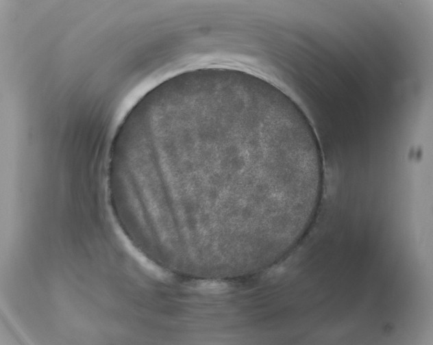 X0000112851525200909111433