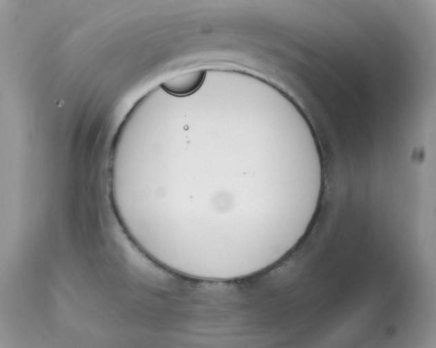 X0000112851526200909111433