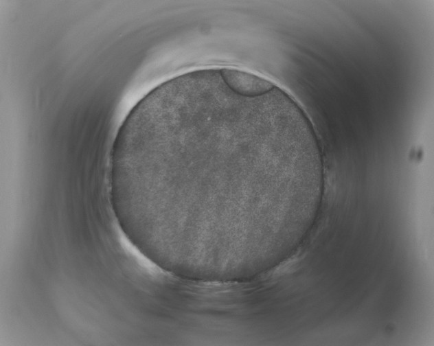 X0000112851527200909111433