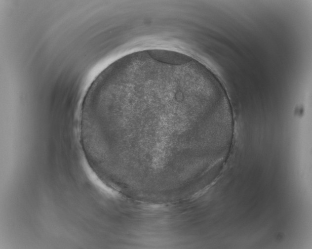 X0000112851528200909111433