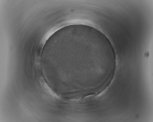 X0000112851529200909111433