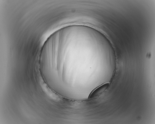 X0000112851530200909111433