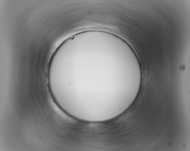 X0000112851531200909111433