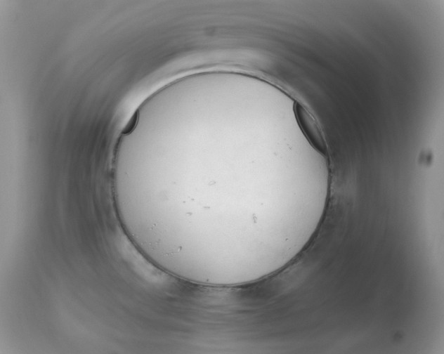 X0000112851532200909111433