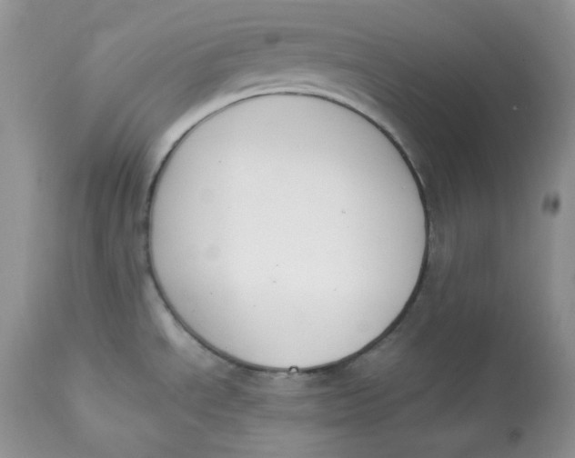 X0000112851534200909111433