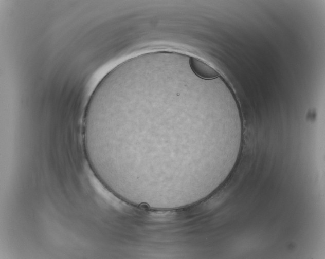 X0000112851535200909111433