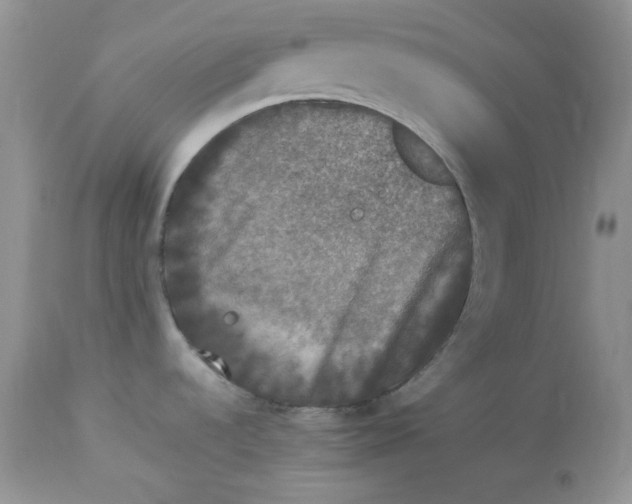 X0000112851536200909111433