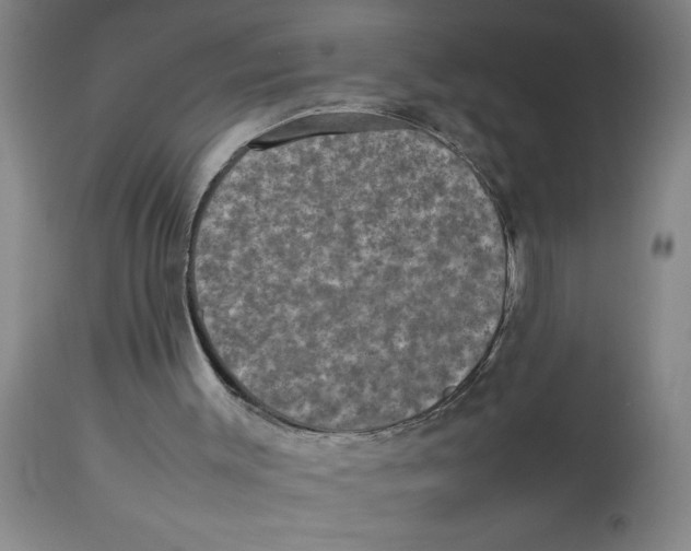 X0000112850003200909181747