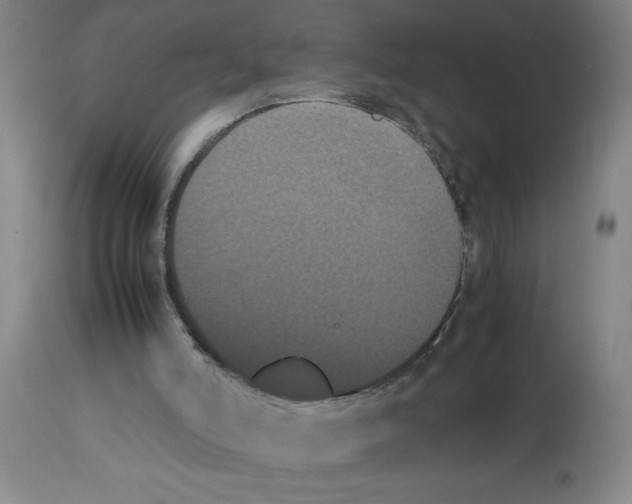 X0000112850006200909181747