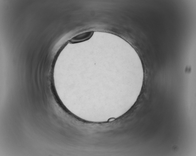 X0000112850007200909181747