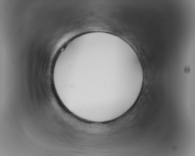 X0000112850008200909181747