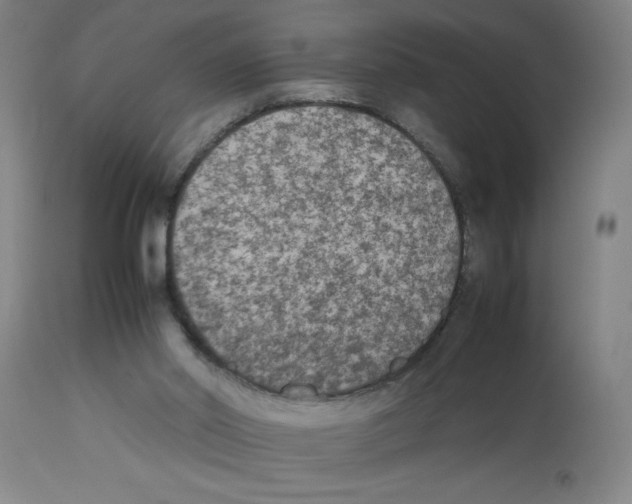 X0000112850014200909181747