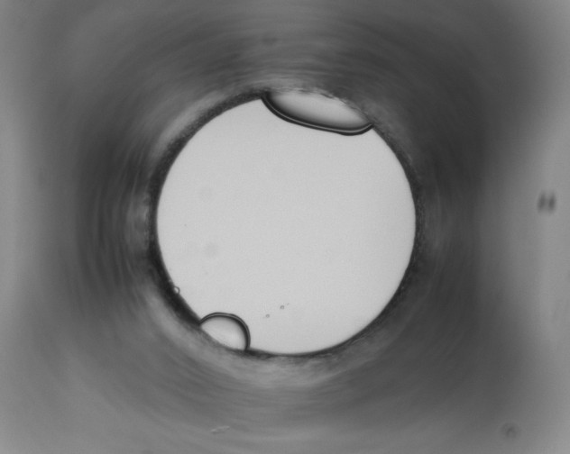 X0000112850016200909181747