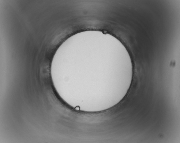 X0000112850017200909181747