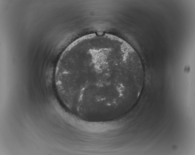 X0000112850018200909181747