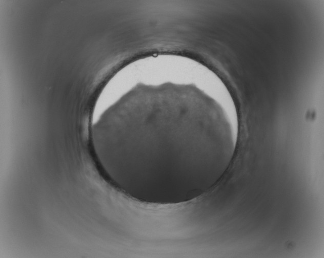 X0000112850019200909181747