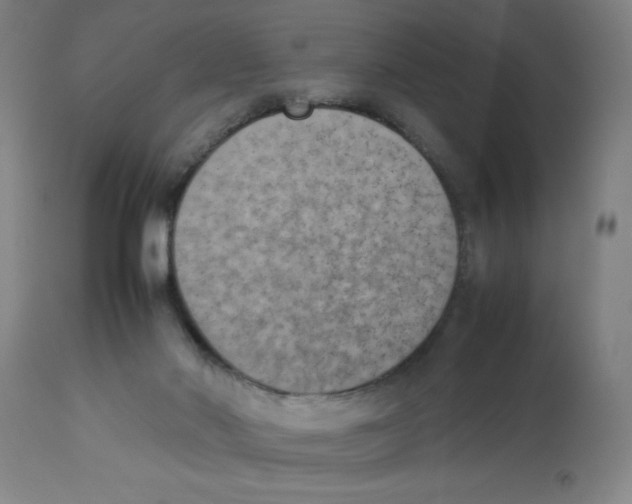 X0000112850022200909181747