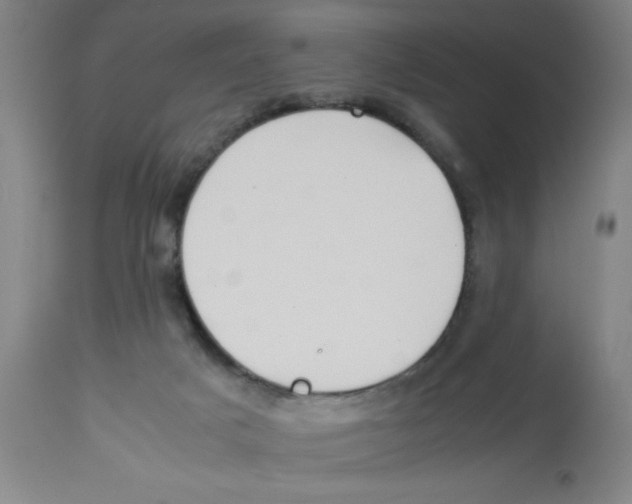 X0000112850025200909181747