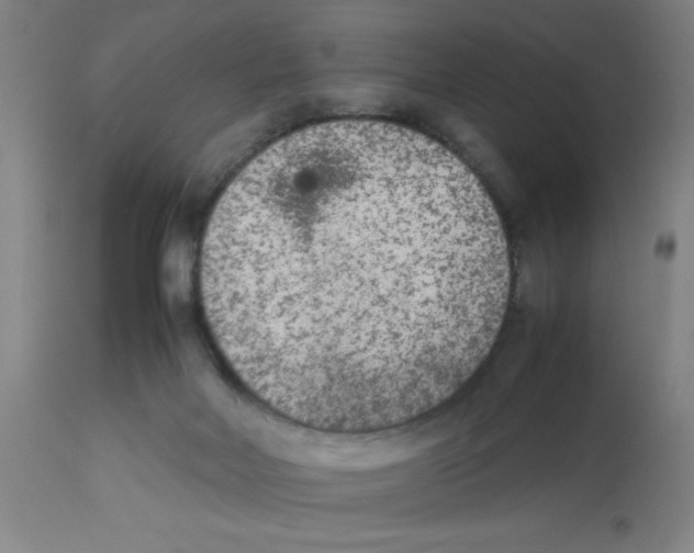 X0000112850026200909181747