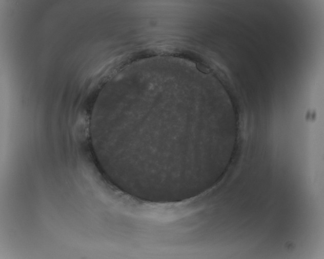 X0000112850029200909181747