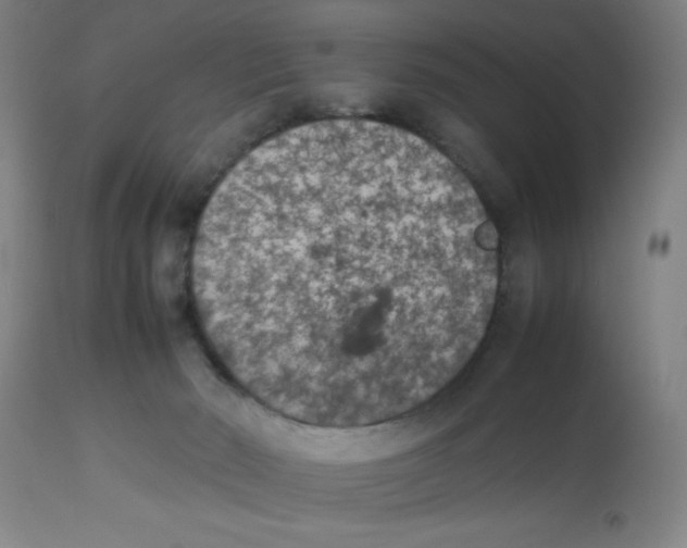 X0000112850030200909181747