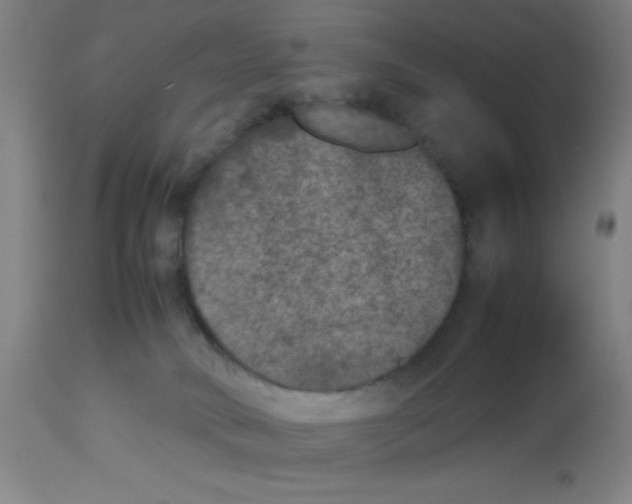 X0000112850034200909181747