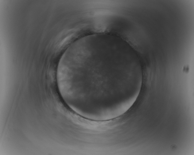 X0000112850035200909181747