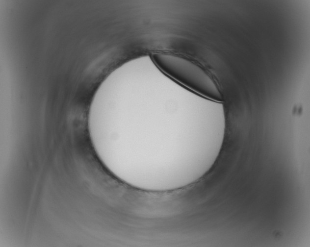 X0000112850037200909181747