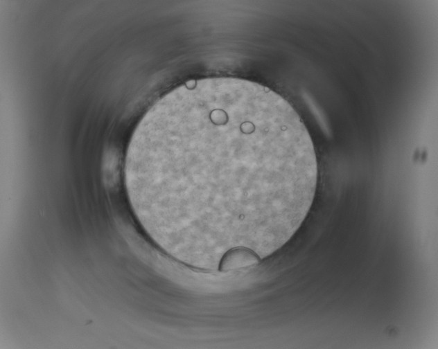 X0000112850038200909181747