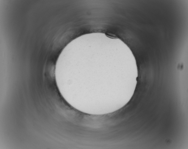 X0000112850041200909181747