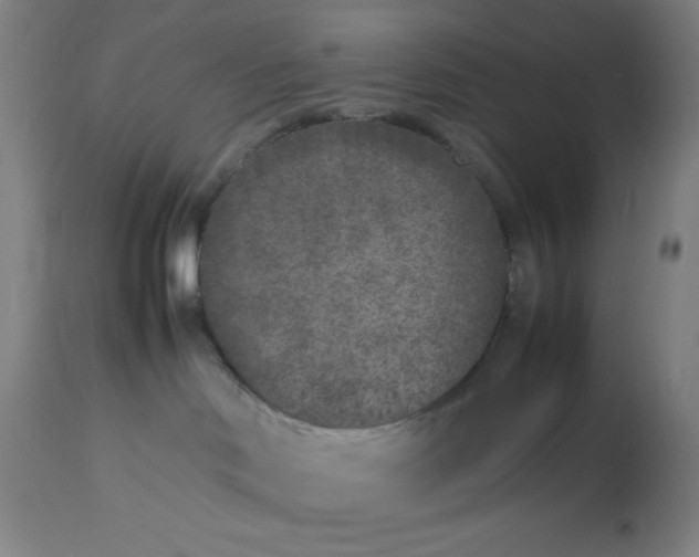 X0000112850046200909181747