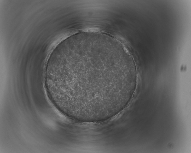 X0000112850049200909181746