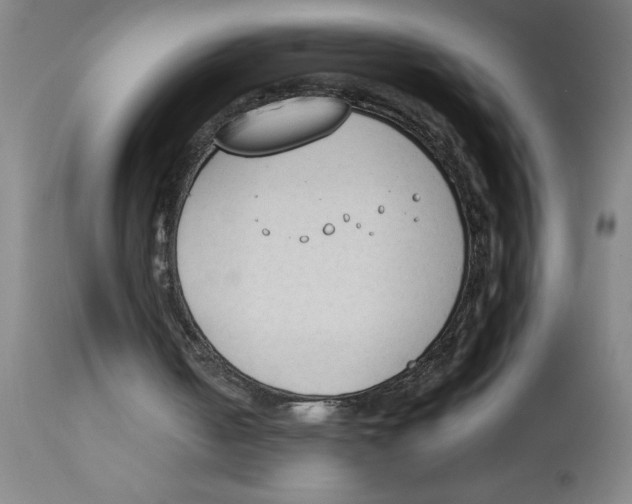 X0000112850050200909181746