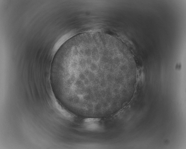 X0000112850051200909181746