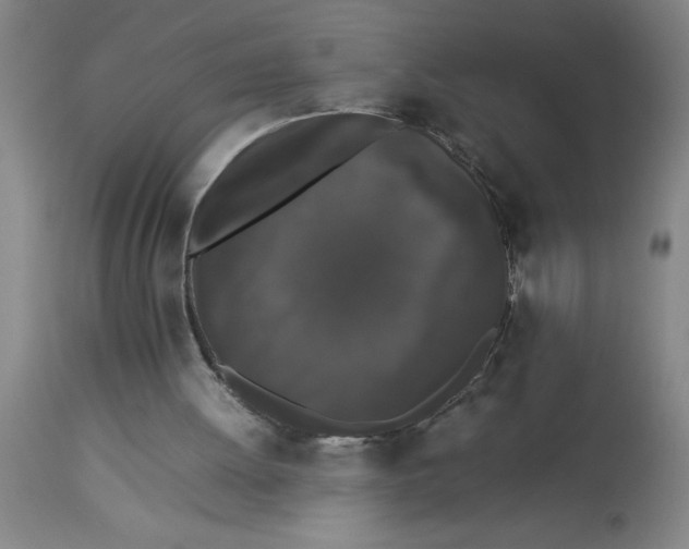 X0000112850052200909181746