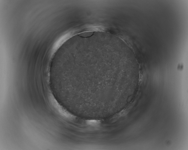 X0000112850053200909181746